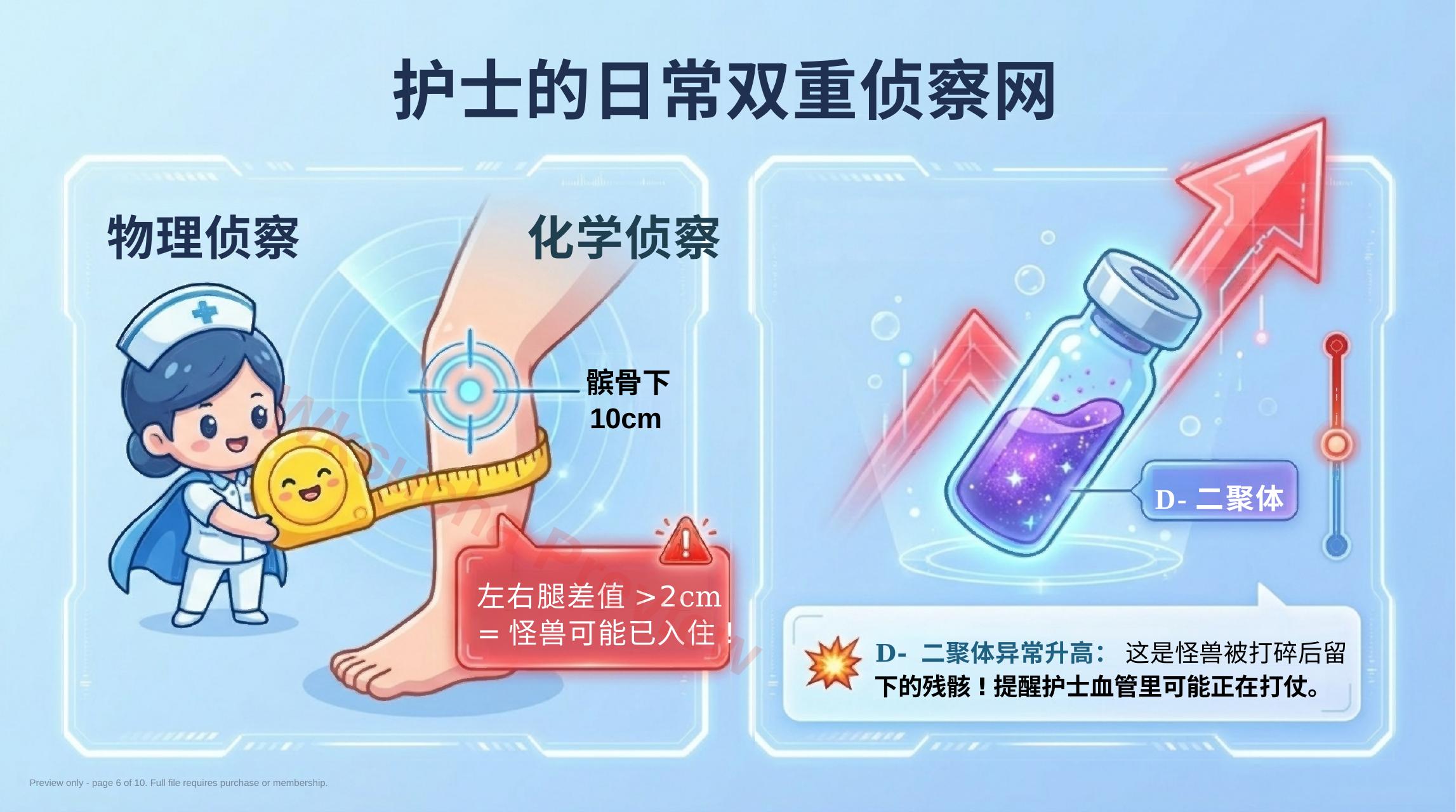 预览第 6 页