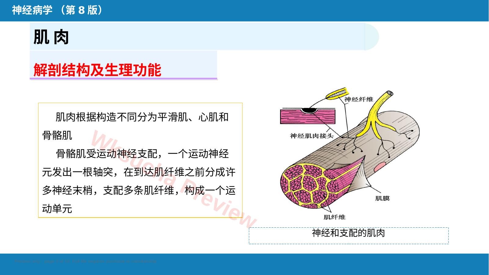 预览第 3 页