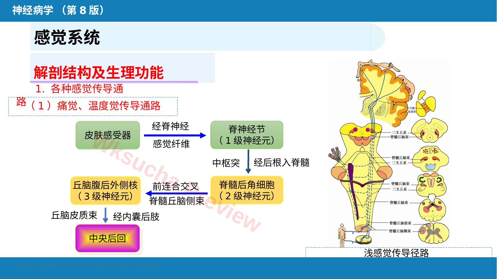 预览第 13 页