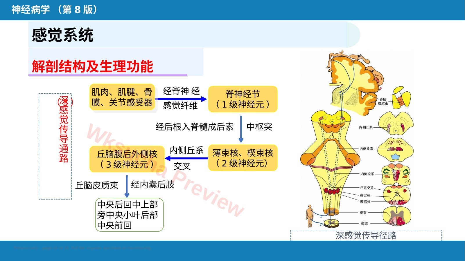 预览第 15 页
