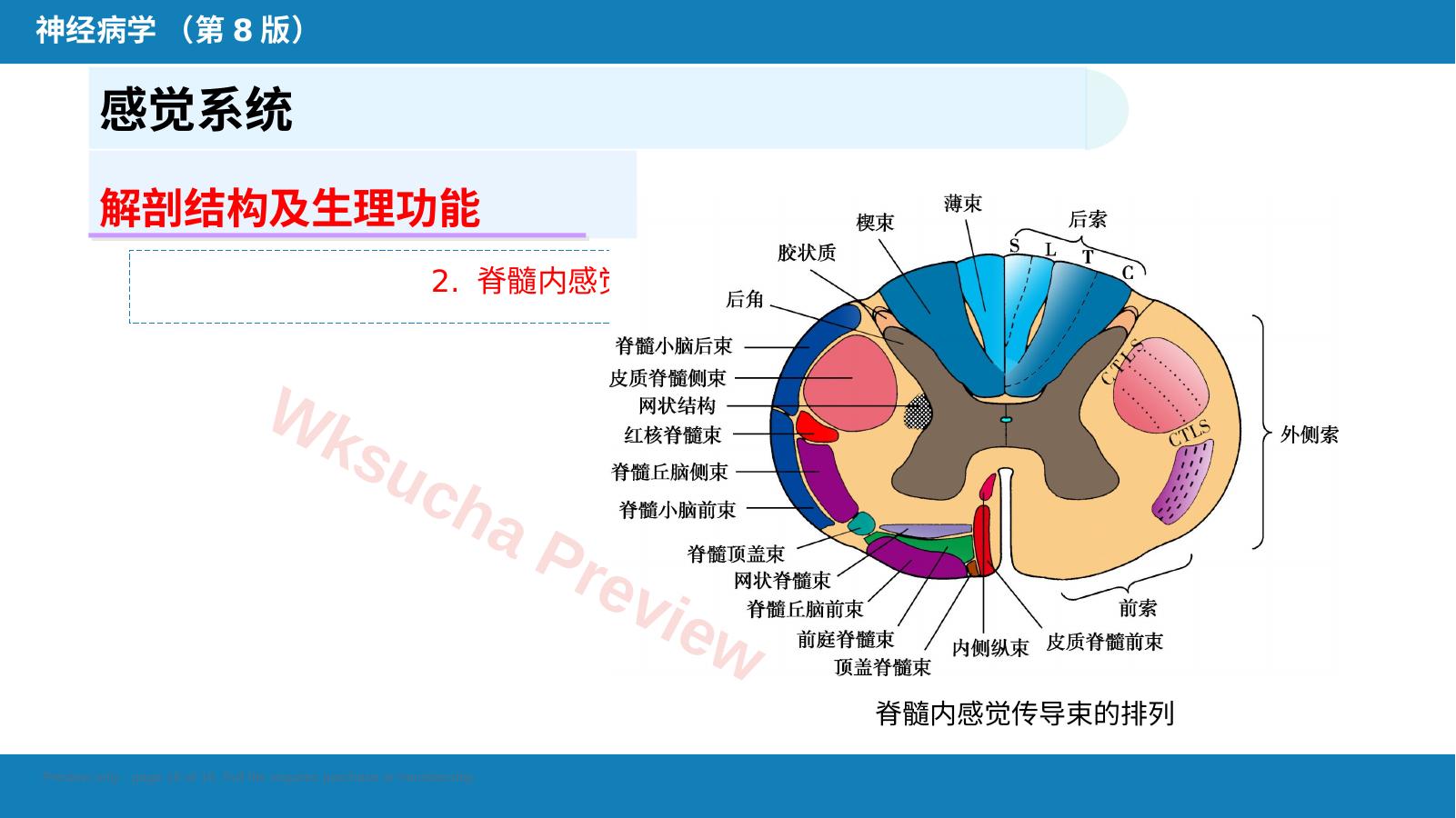 预览第 16 页
