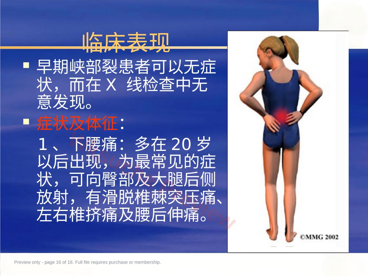 预览第 16 页