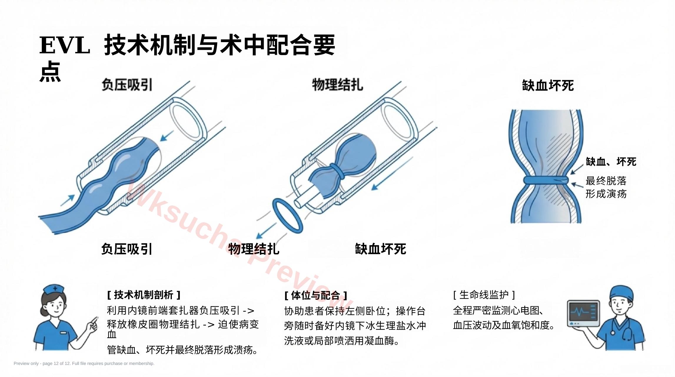 预览第 12 页
