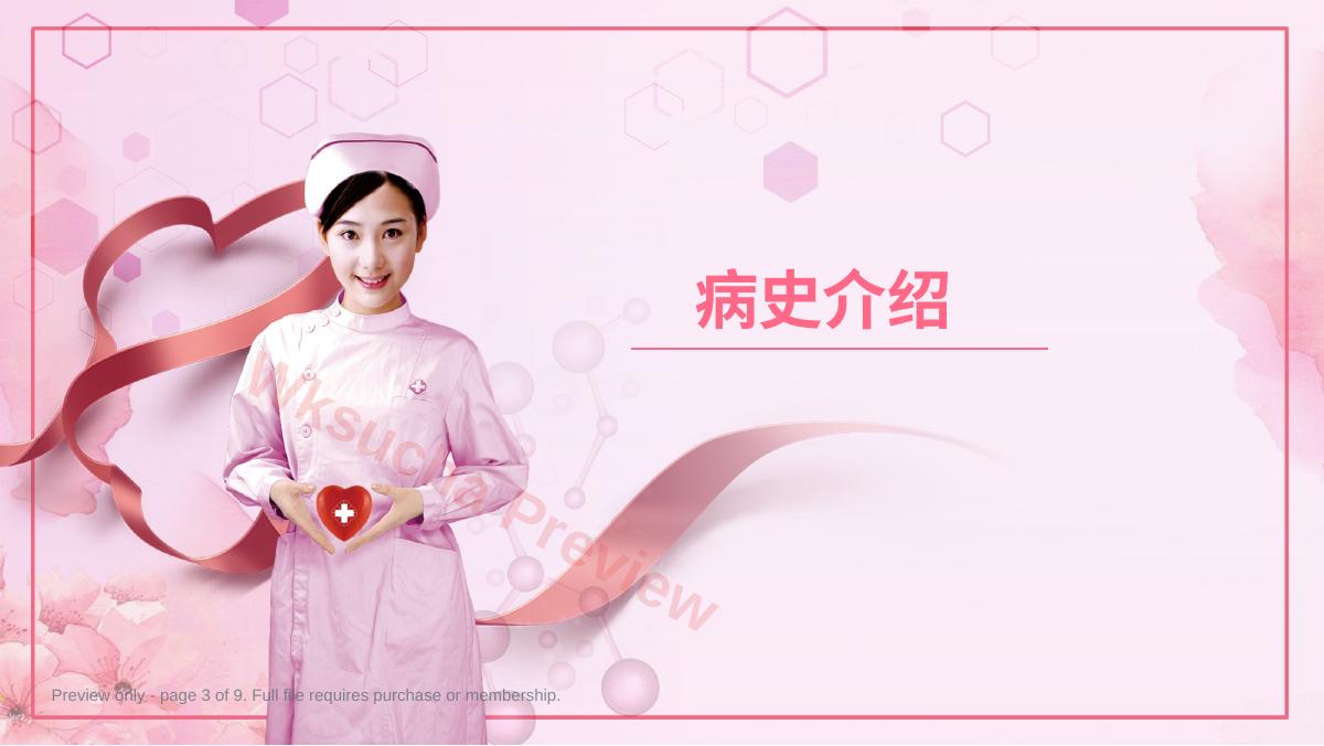 预览第 3 页