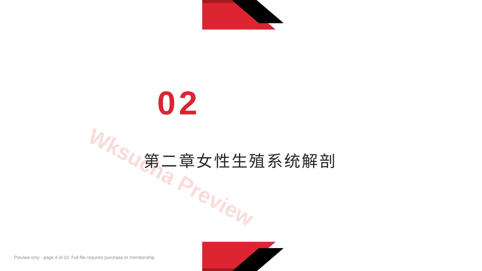 预览第 4 页