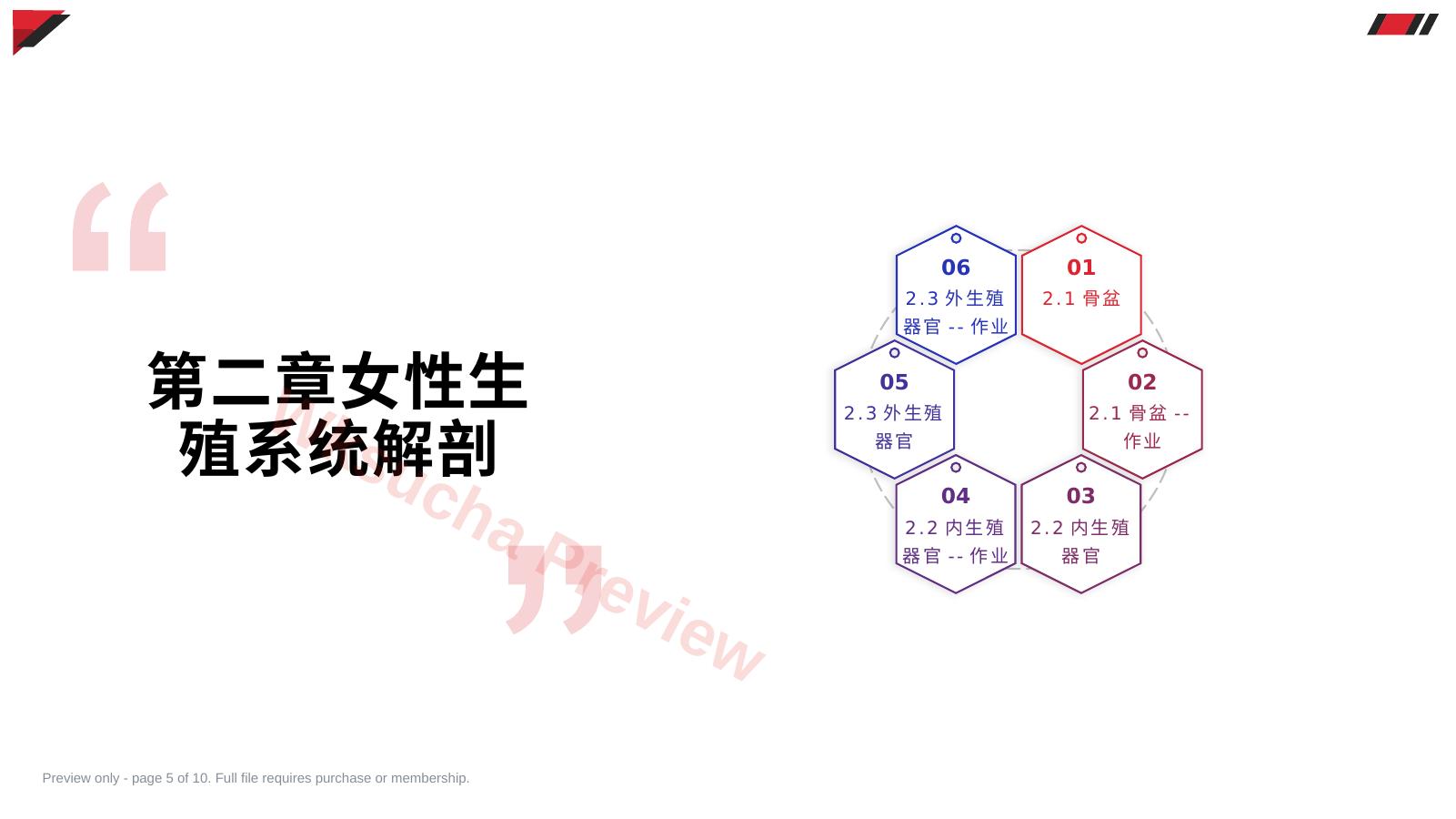 预览第 5 页