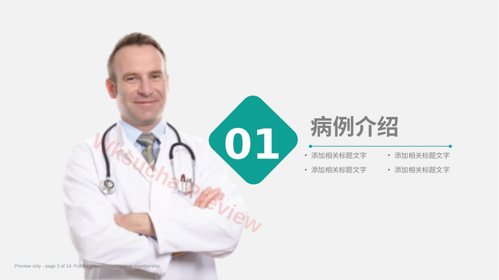 预览第 3 页