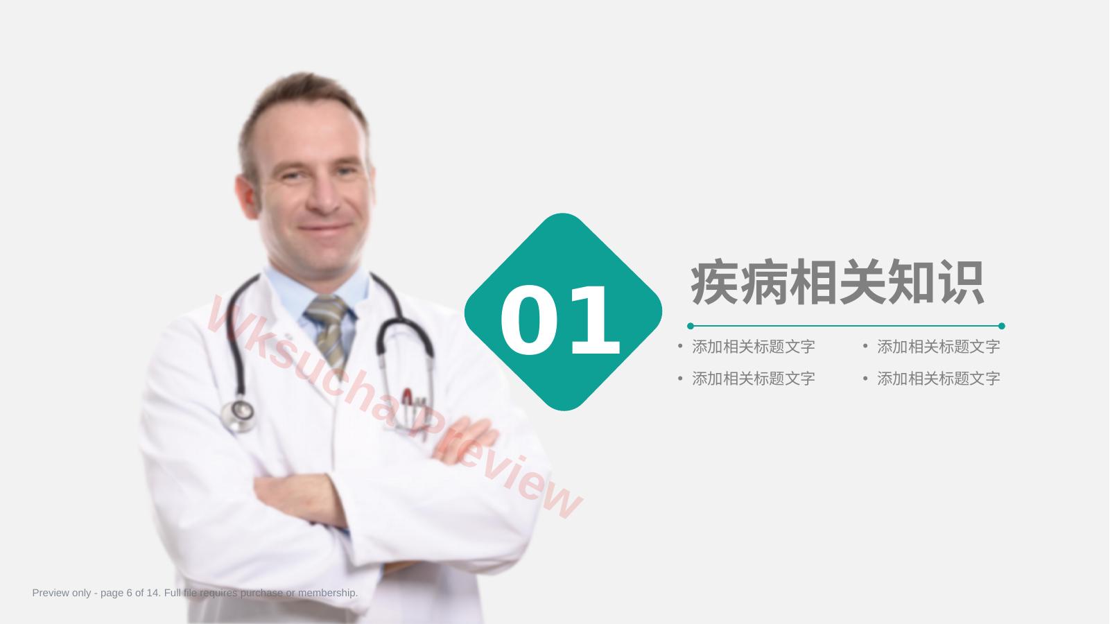 预览第 6 页