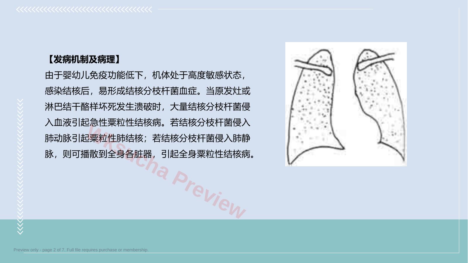 预览第 2 页