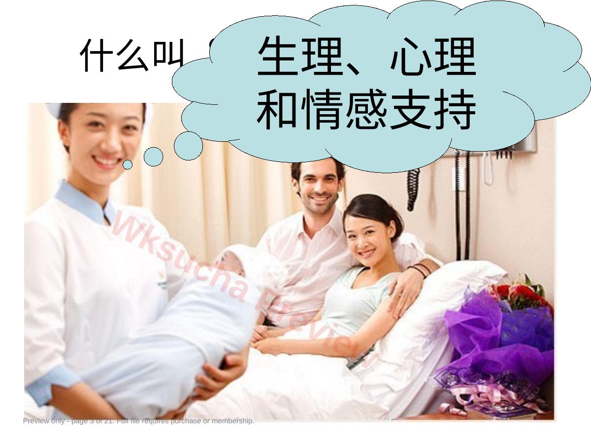预览第 3 页