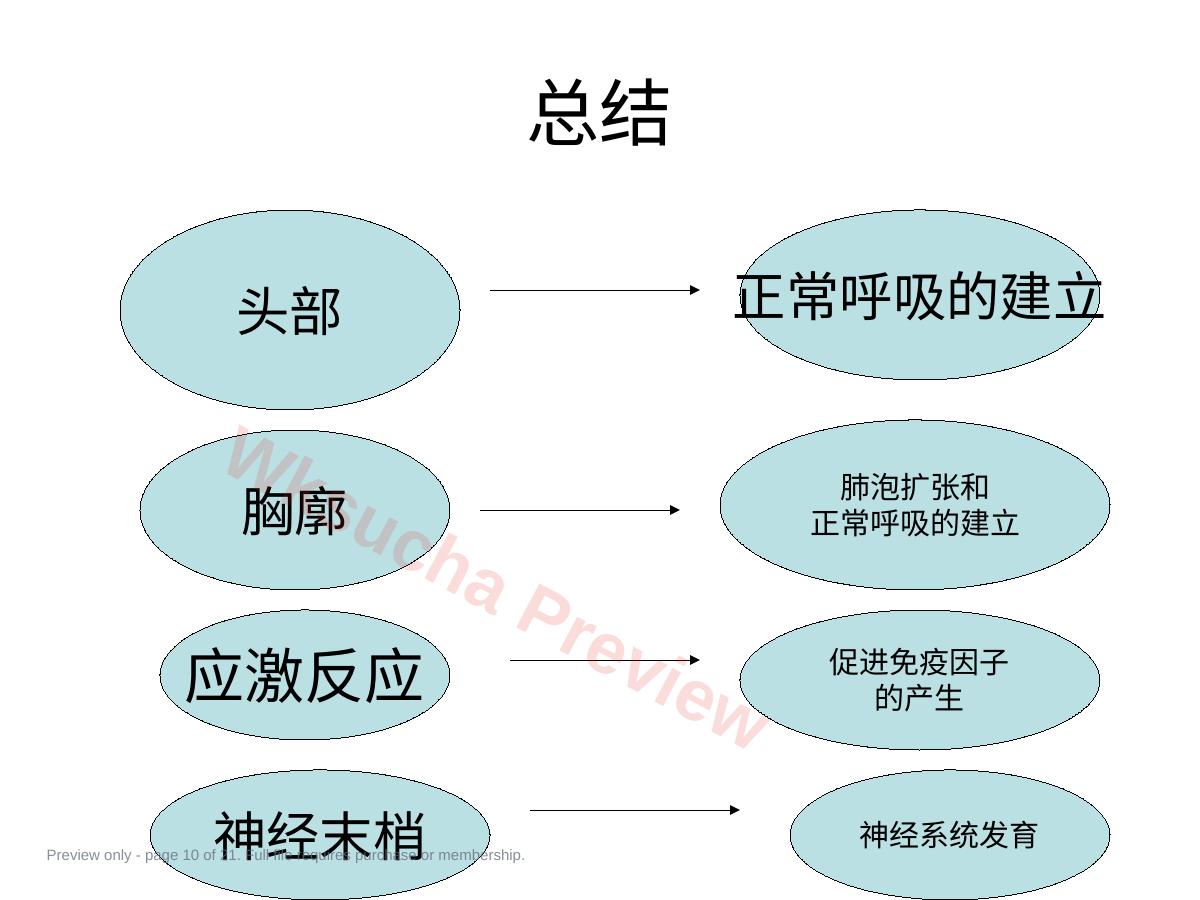 预览第 10 页