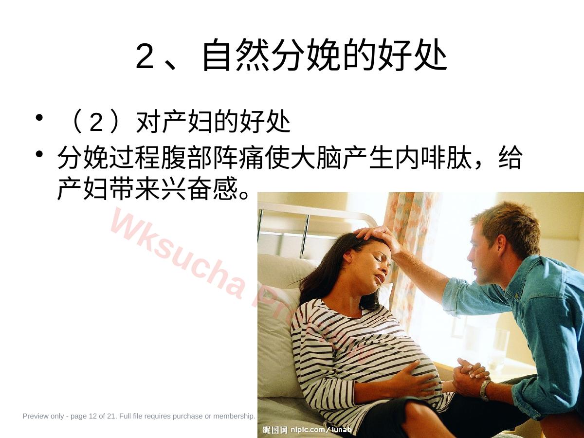 预览第 12 页