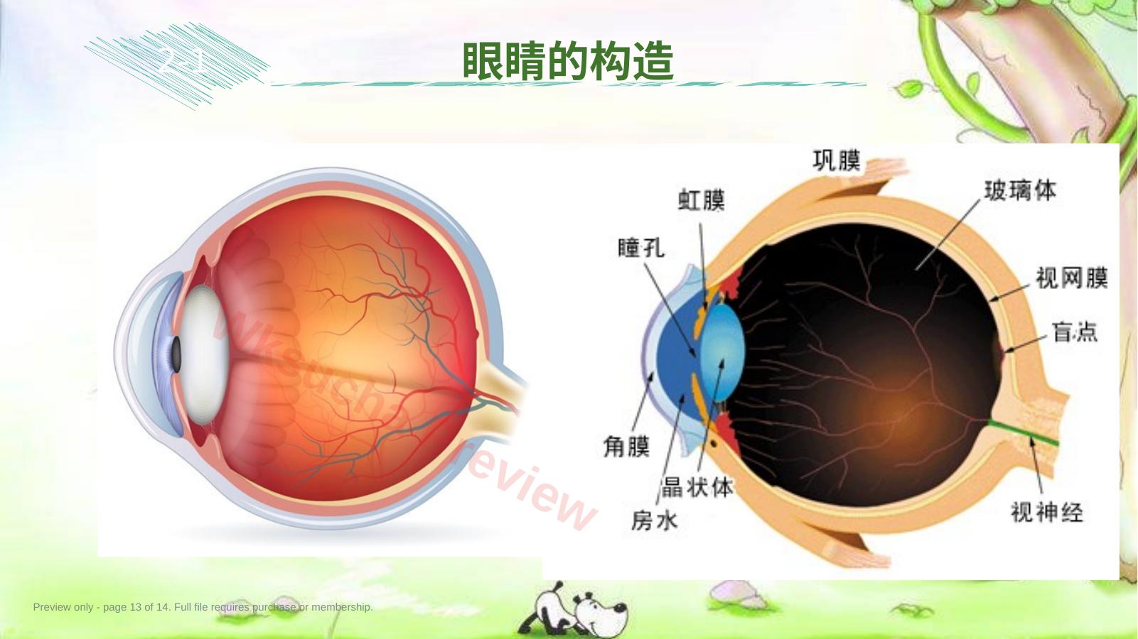 预览第 13 页