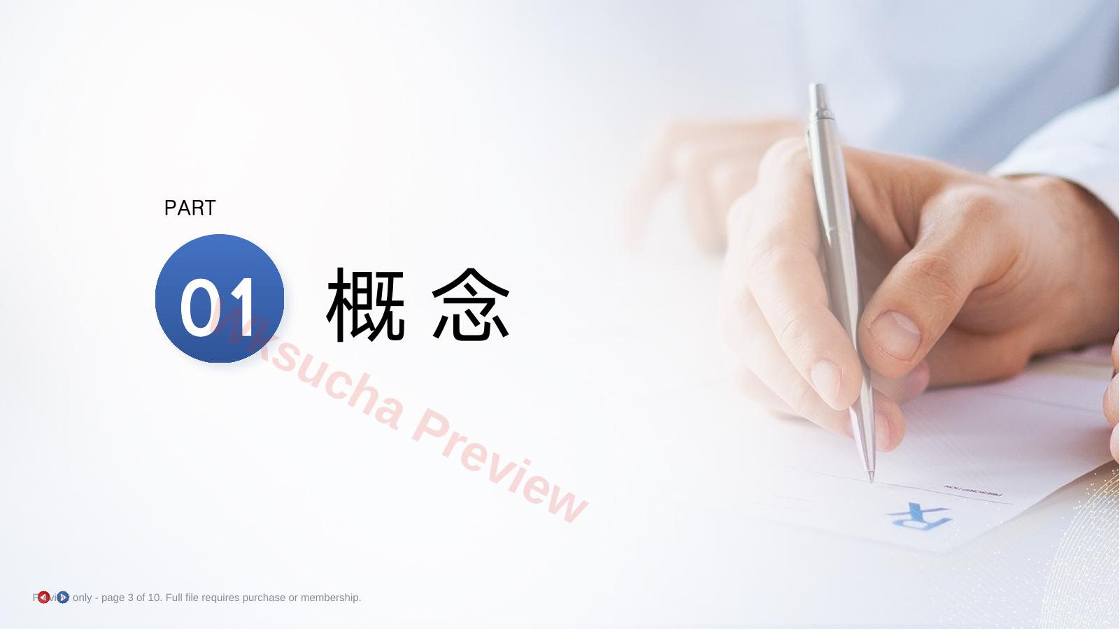 预览第 3 页