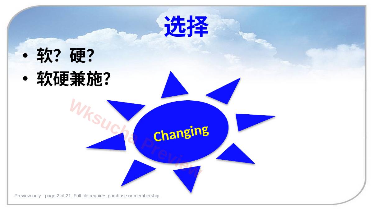 预览第 2 页