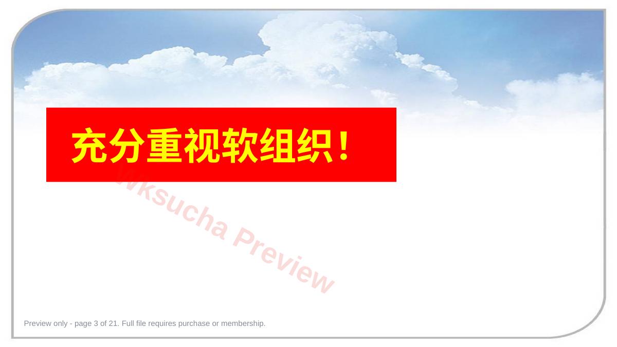 预览第 3 页
