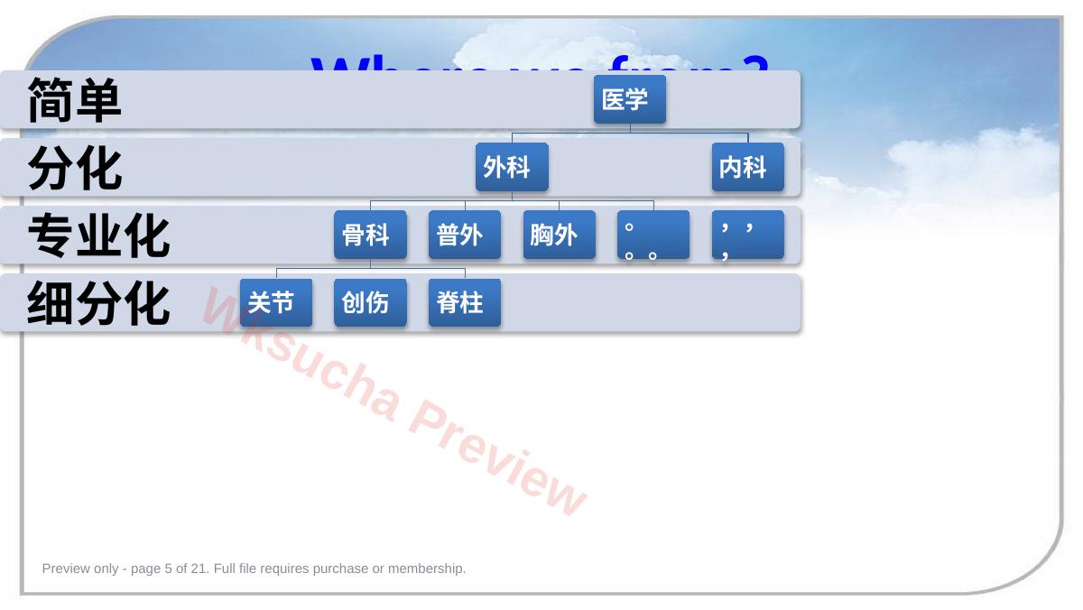 预览第 5 页