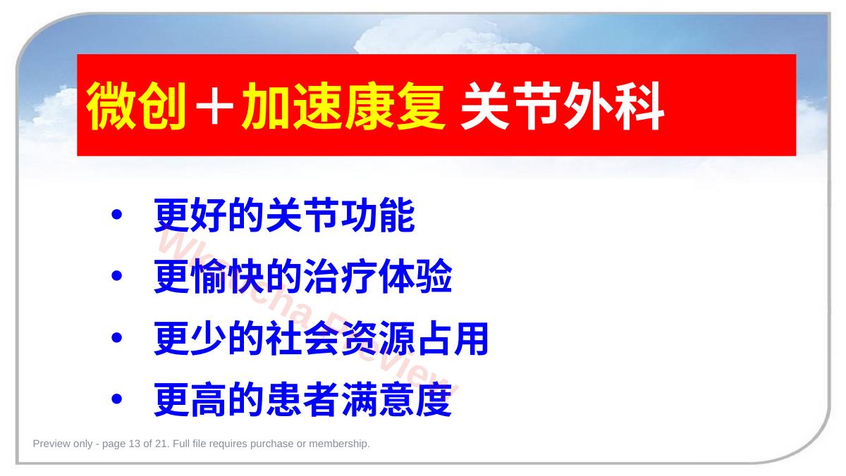 预览第 13 页