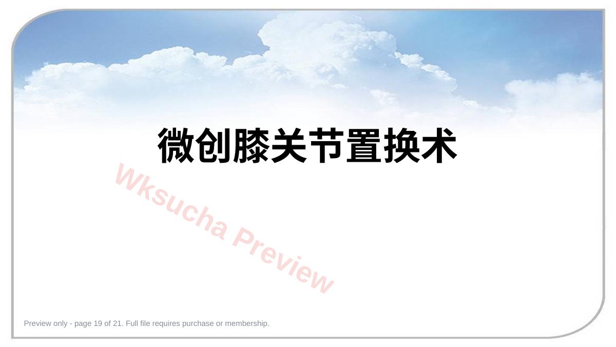 预览第 19 页