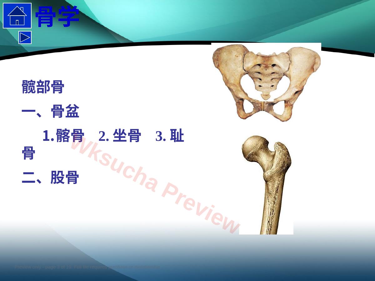 预览第 3 页