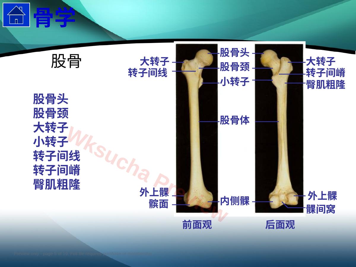 预览第 5 页
