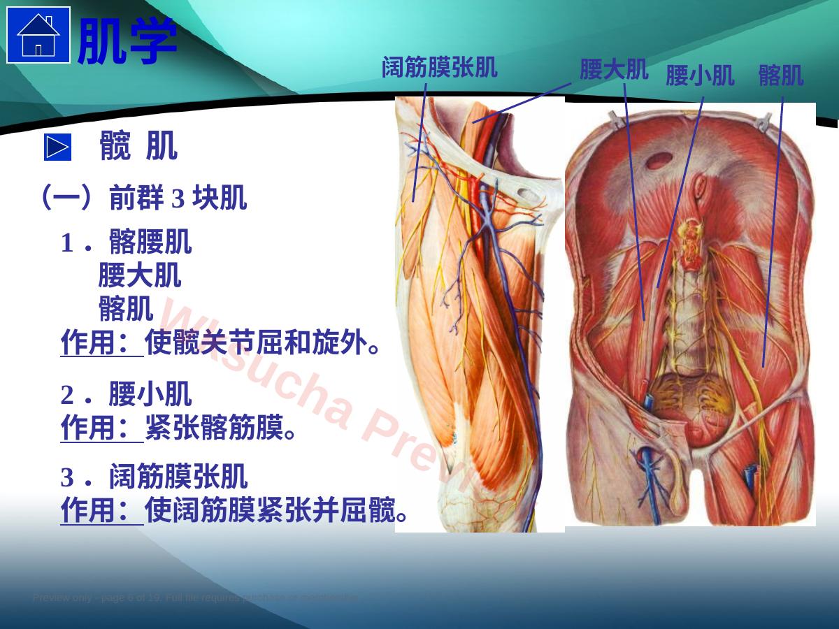 预览第 6 页