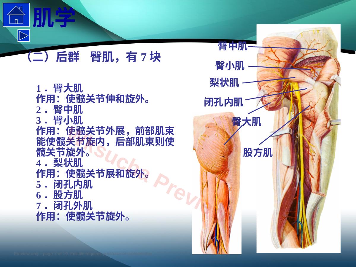 预览第 7 页