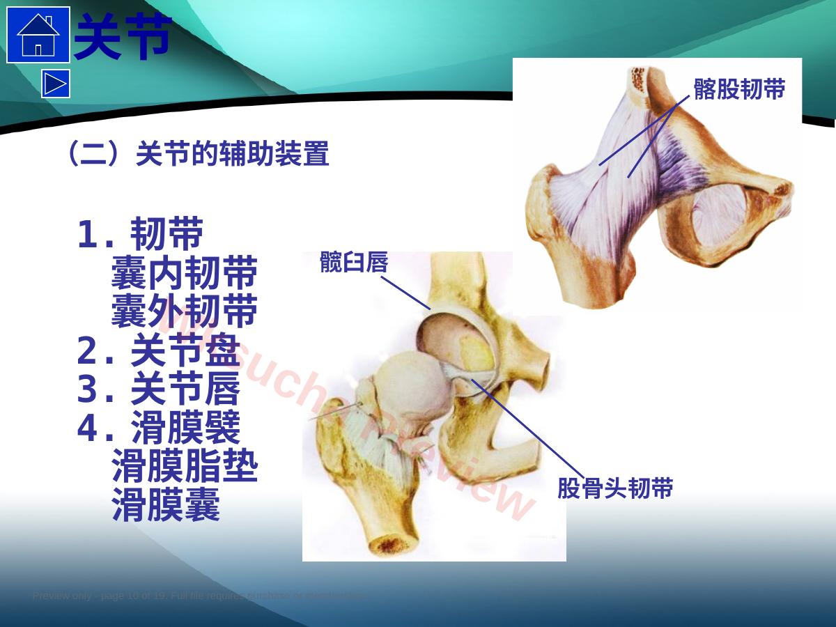 预览第 10 页