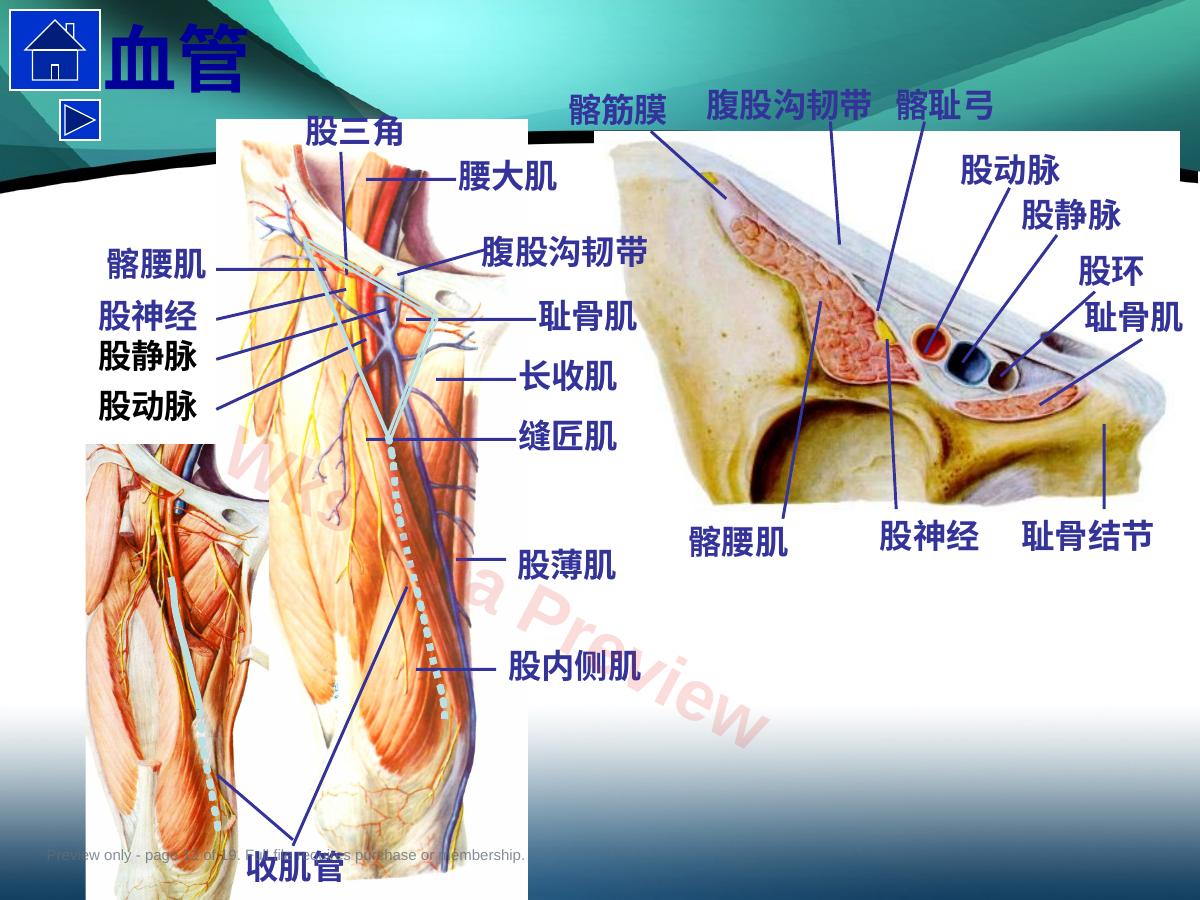 预览第 12 页