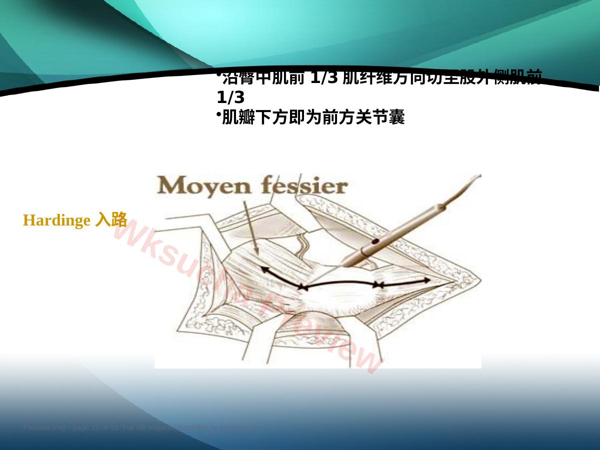 预览第 19 页