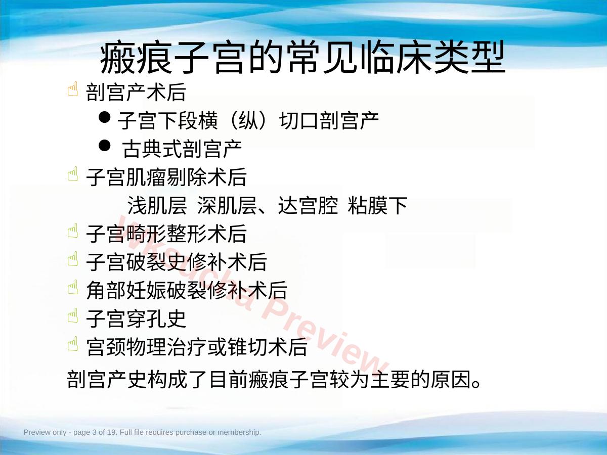 预览第 3 页