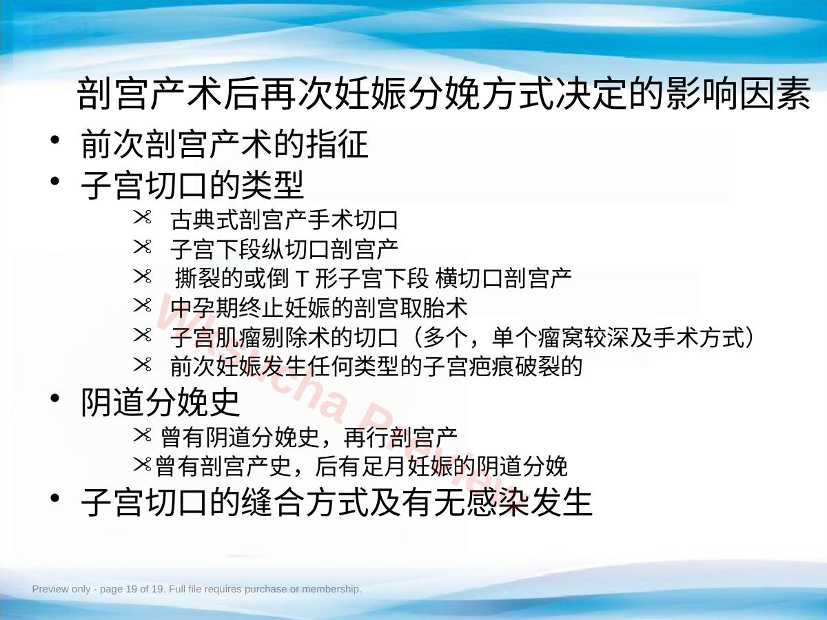 预览第 19 页