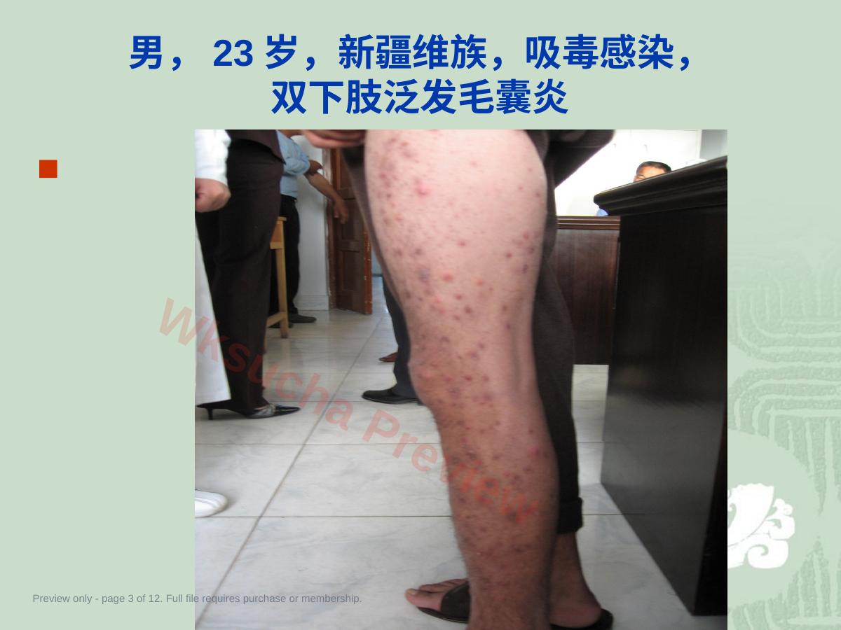 预览第 3 页