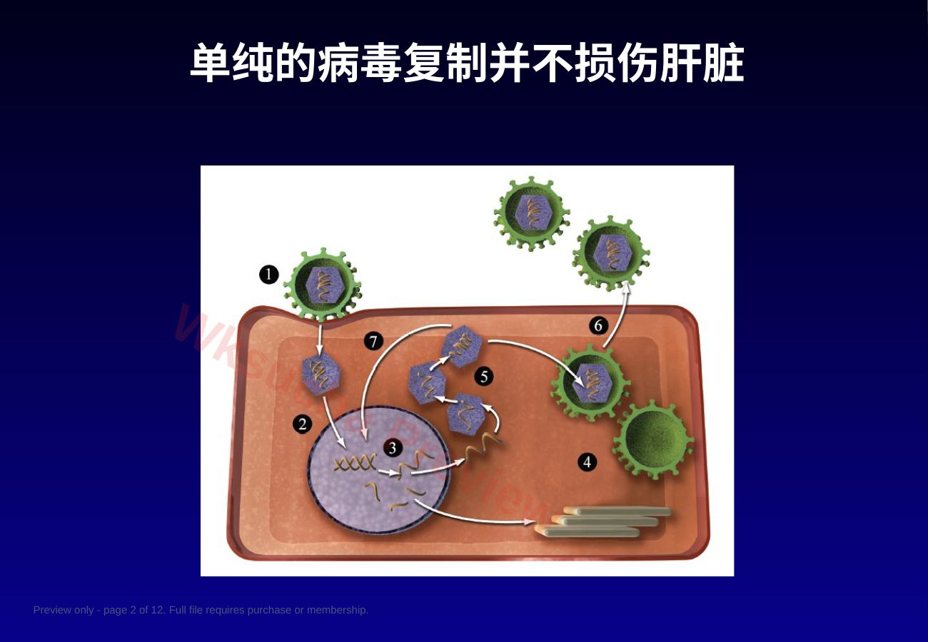 预览第 2 页