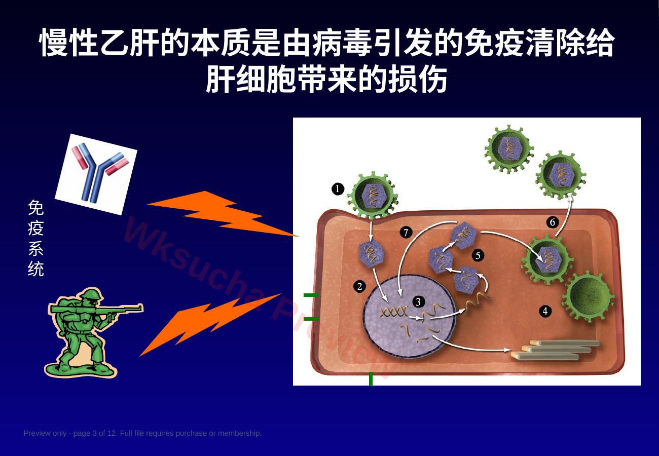 预览第 3 页