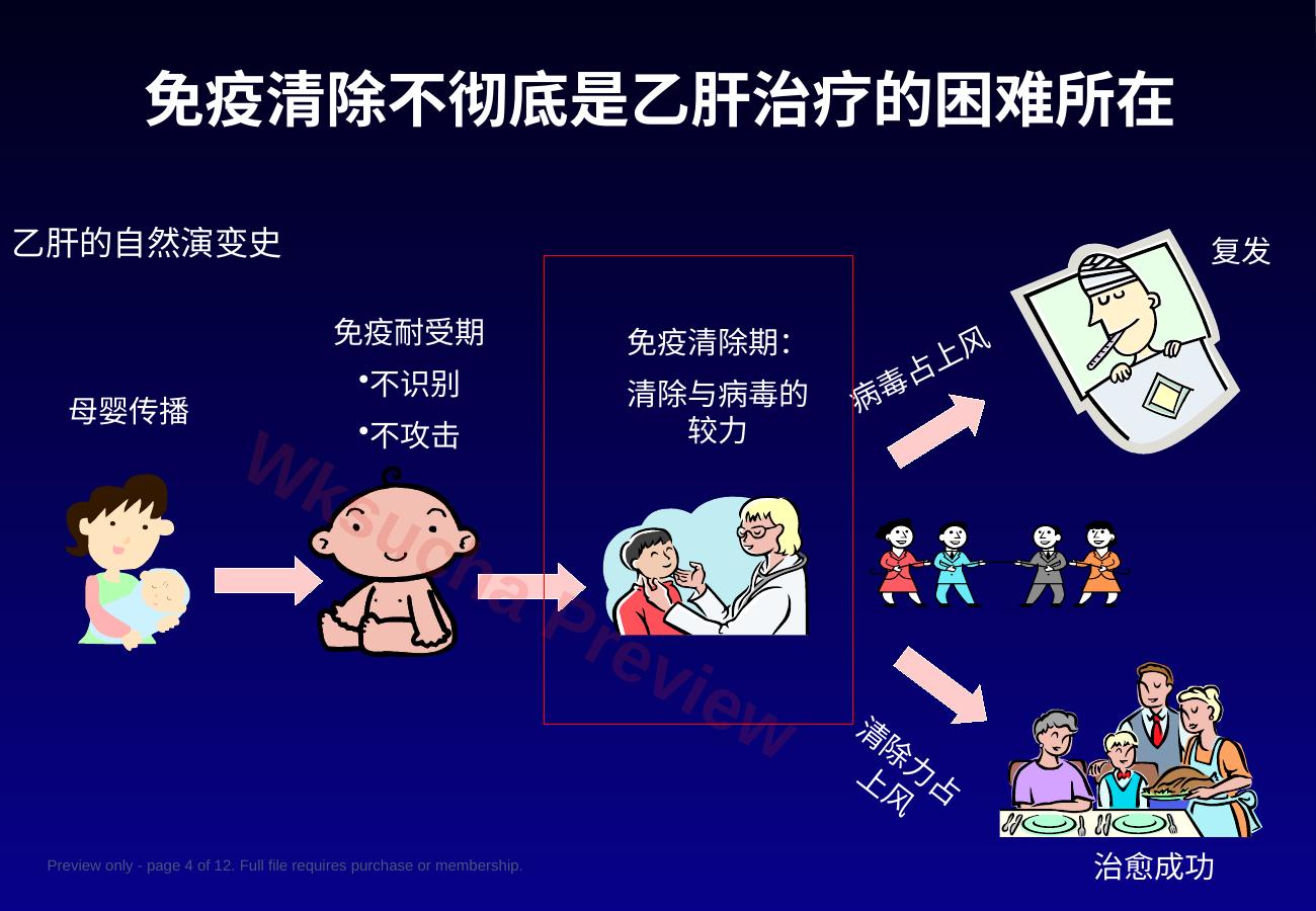预览第 4 页