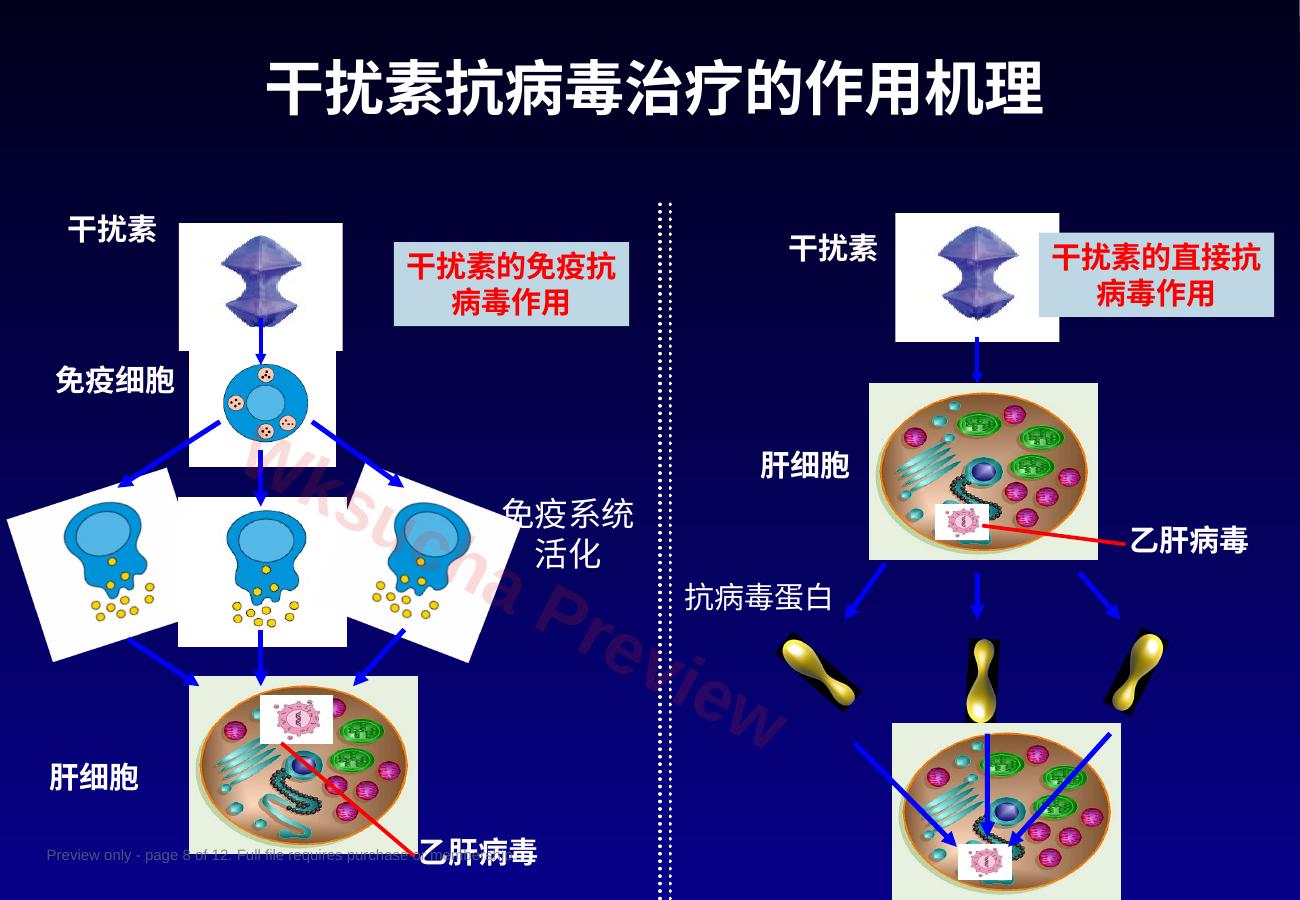 预览第 8 页