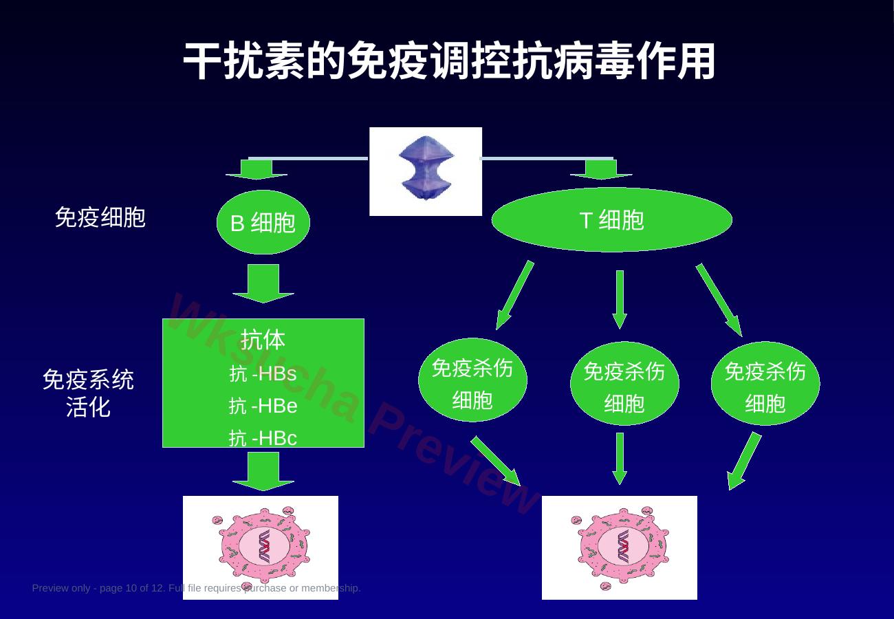 预览第 10 页