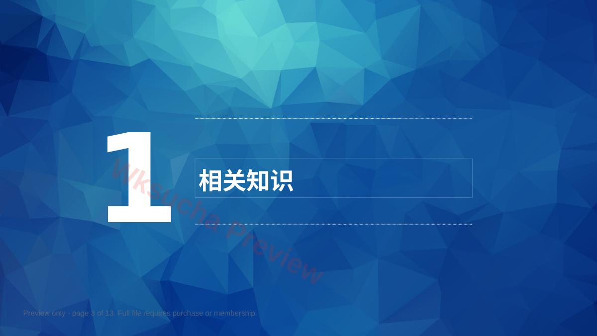 预览第 3 页