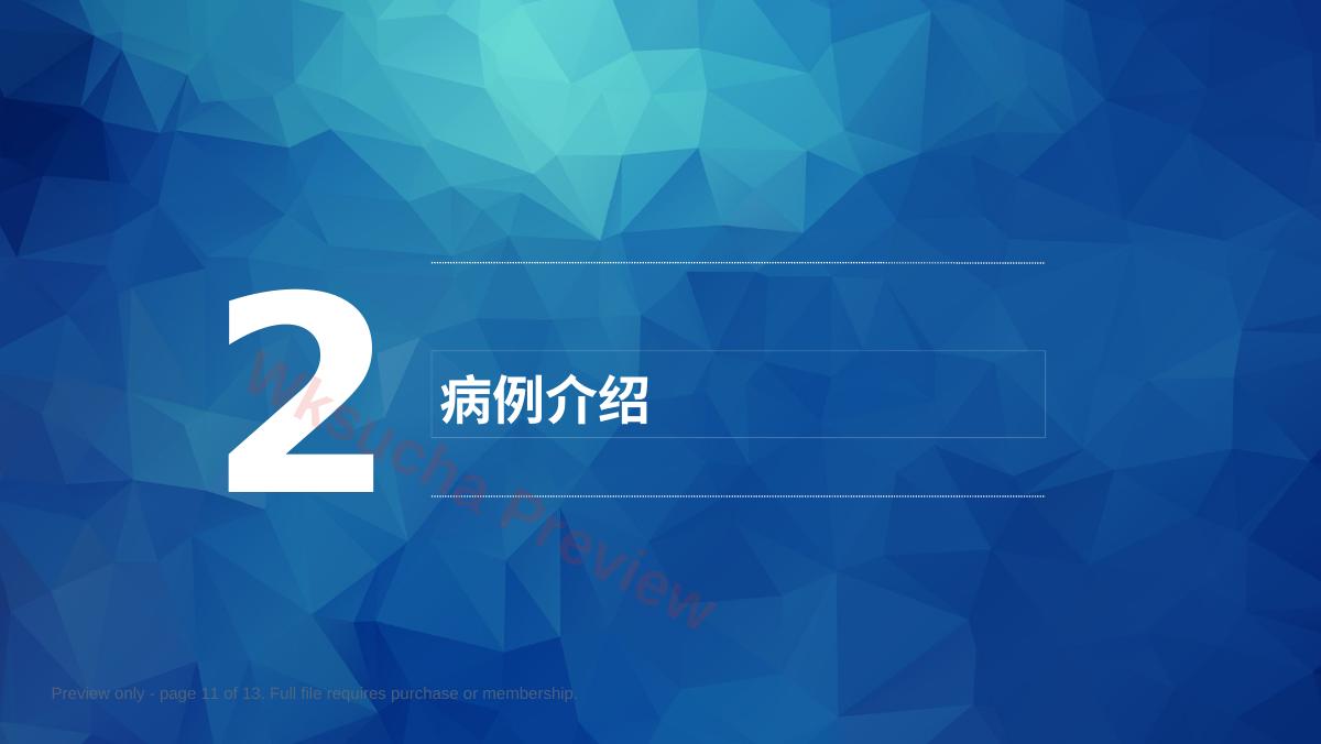 预览第 11 页