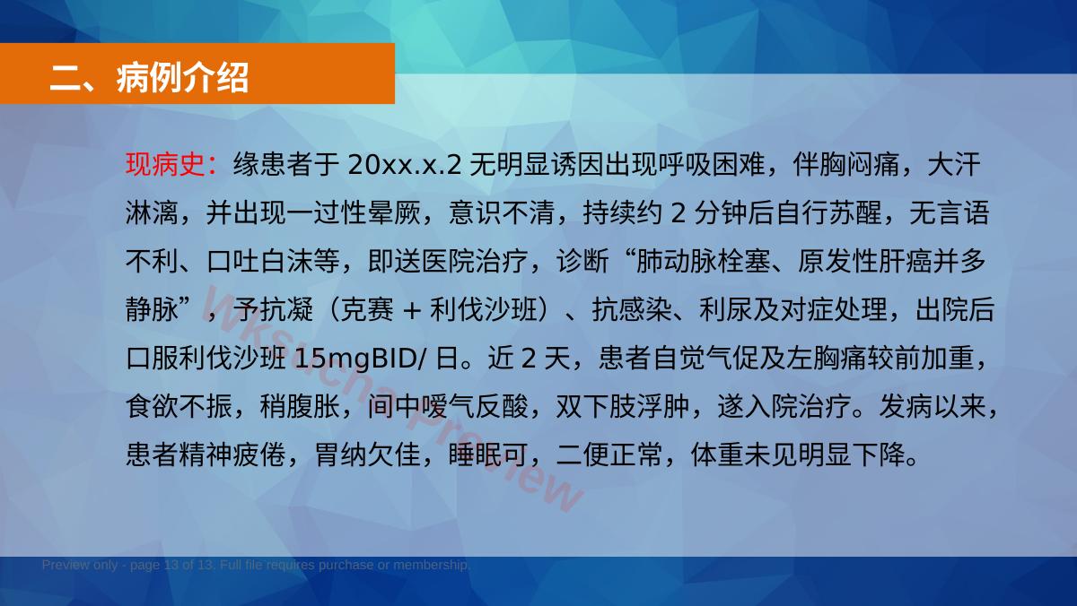 预览第 13 页