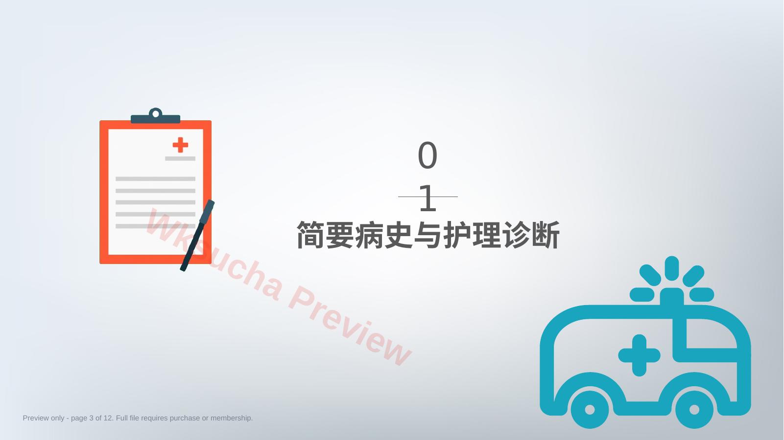 预览第 3 页