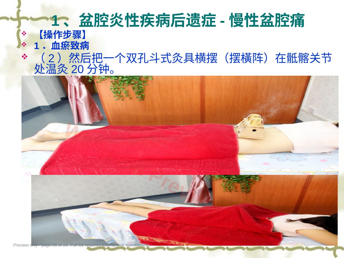 预览第 26 页