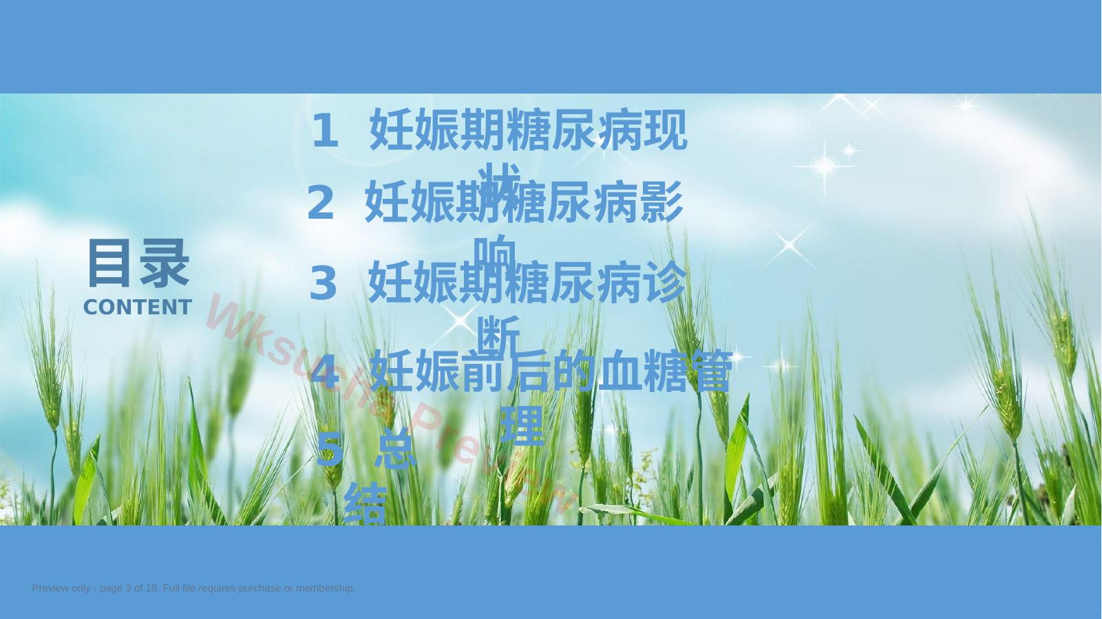 预览第 3 页