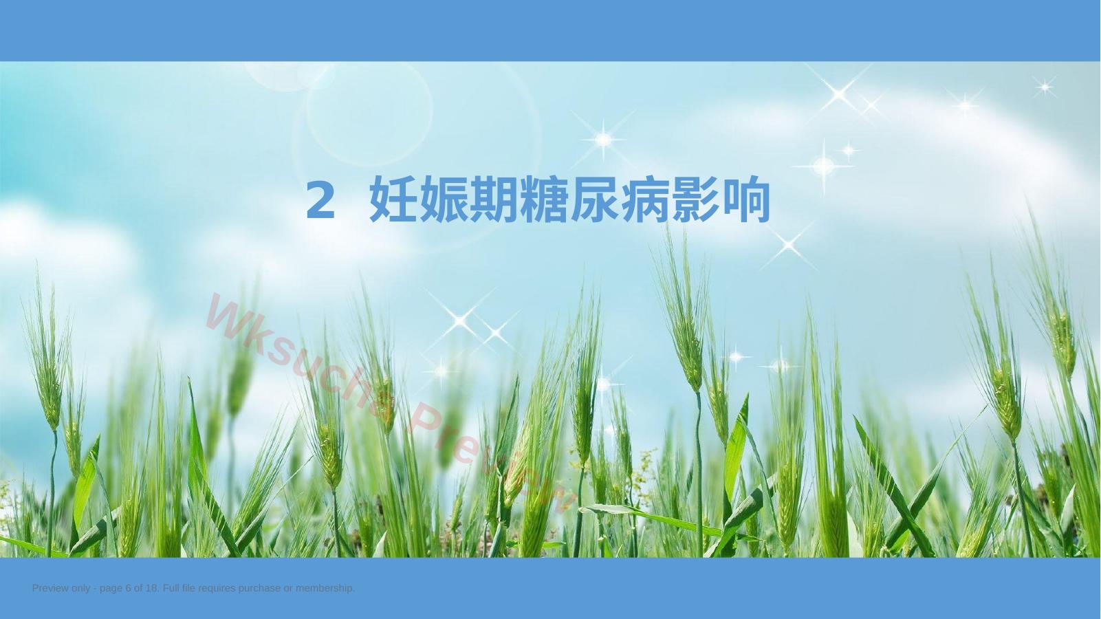 预览第 6 页