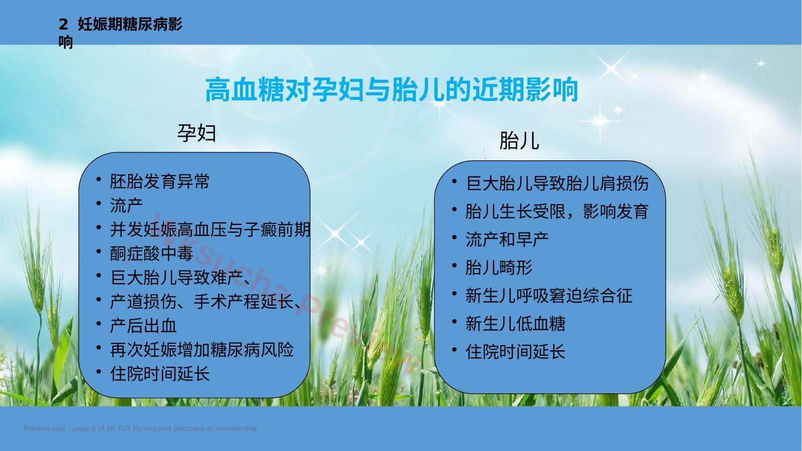 预览第 8 页