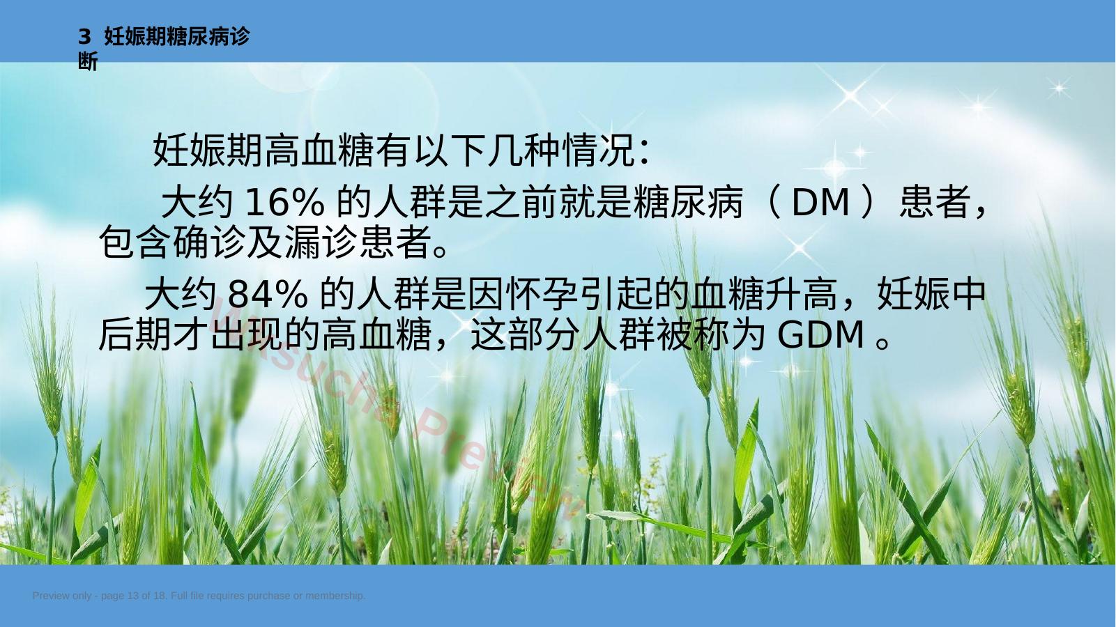 预览第 13 页