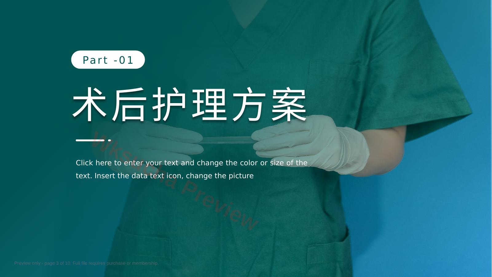 预览第 3 页