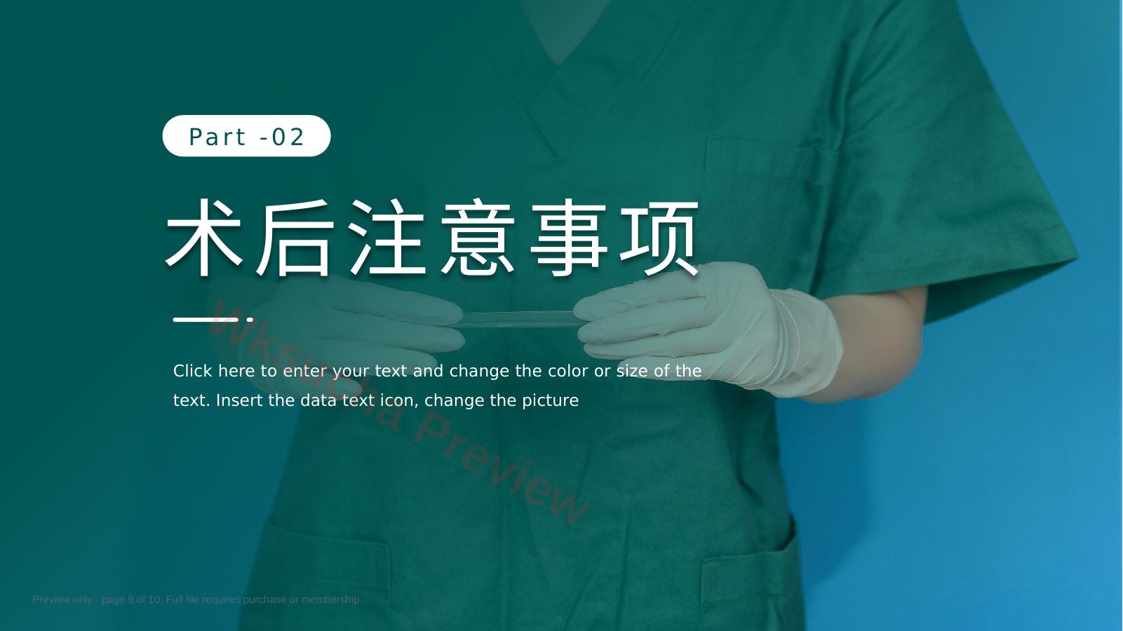 预览第 9 页