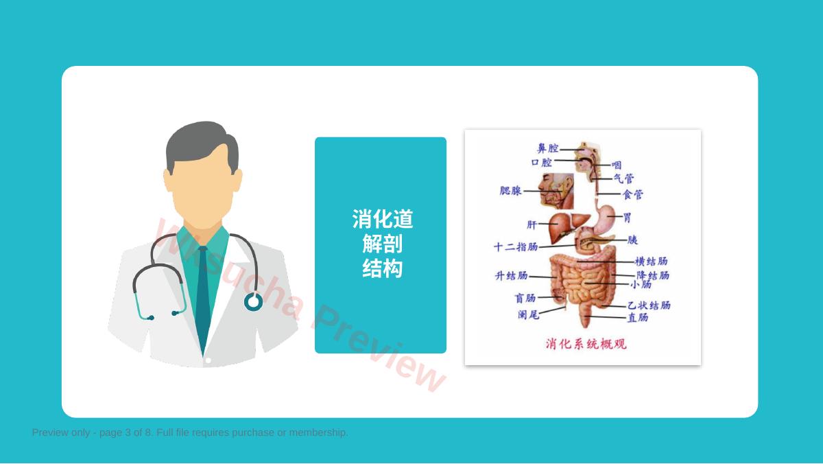 预览第 3 页